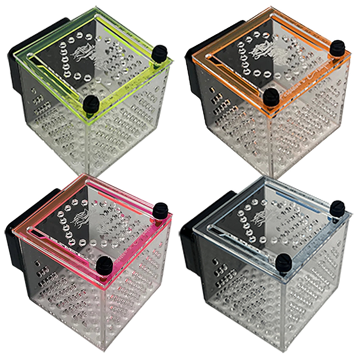 Small Magnetic Mushroom/Anemone Box