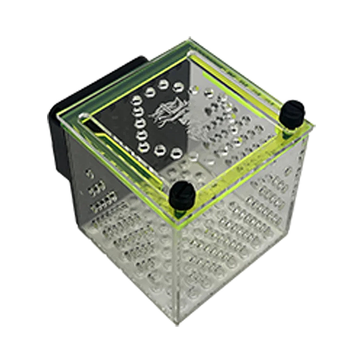 Small Magnetic Mushroom/Anemone Box