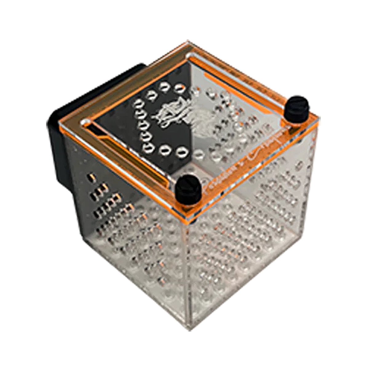Small Magnetic Mushroom/Anemone Box