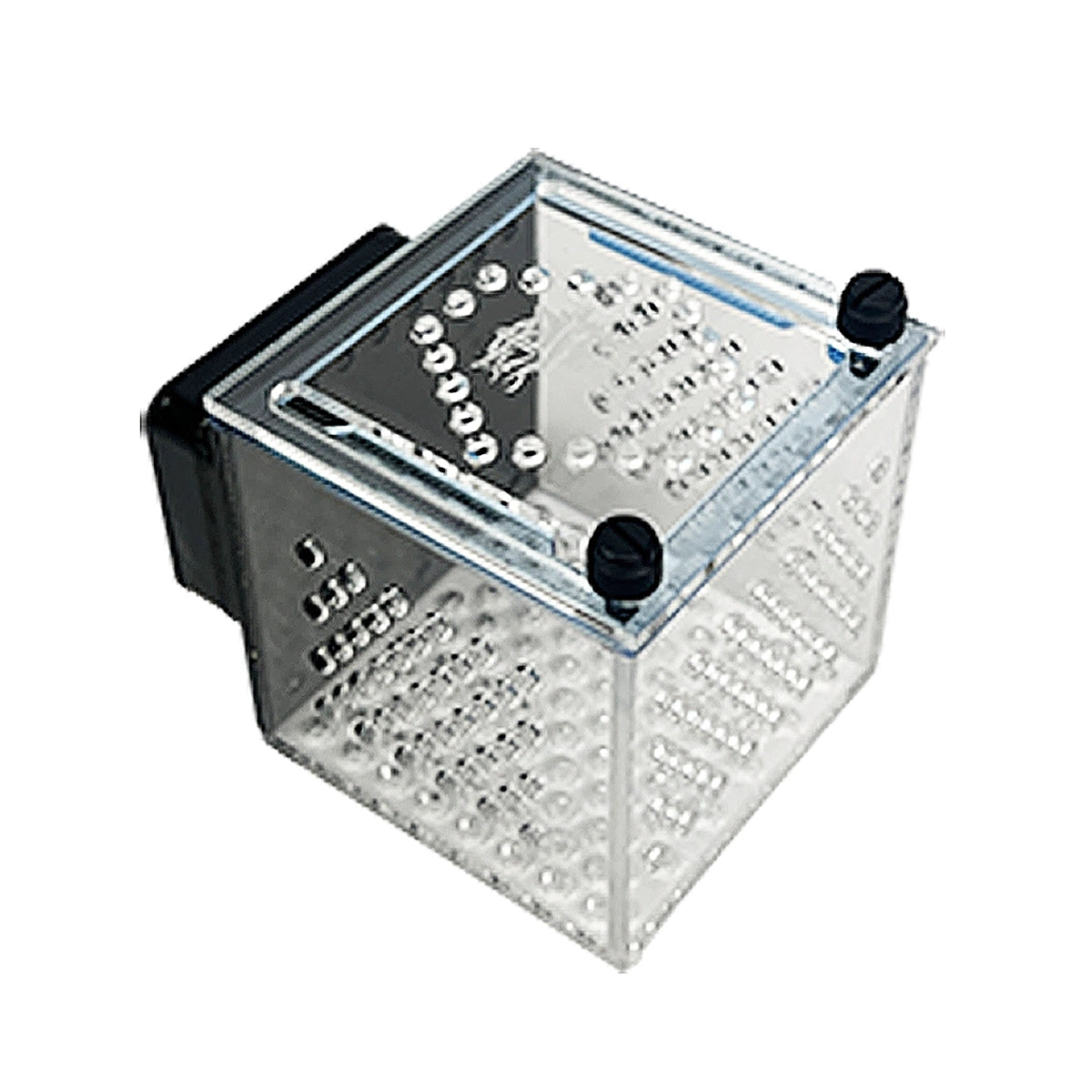 Small Magnetic Mushroom/Anemone Box