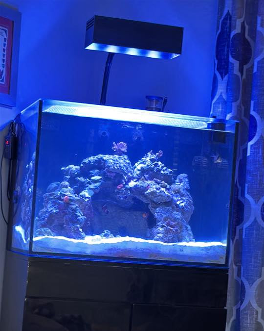AquaIllumination Hydra 64 HD LED Reef Light Shade