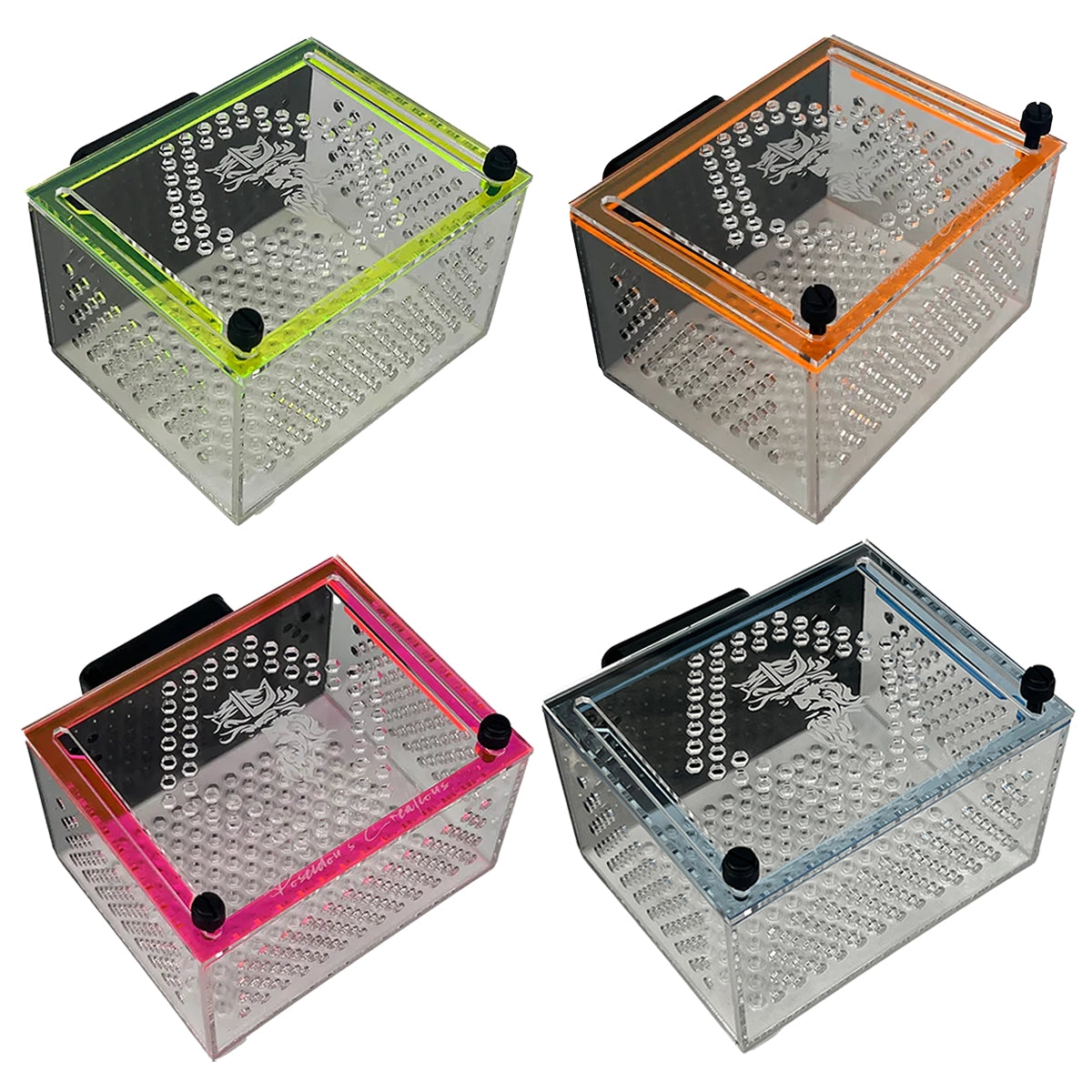 Medium Magnetic Mushroom/Anemone Box