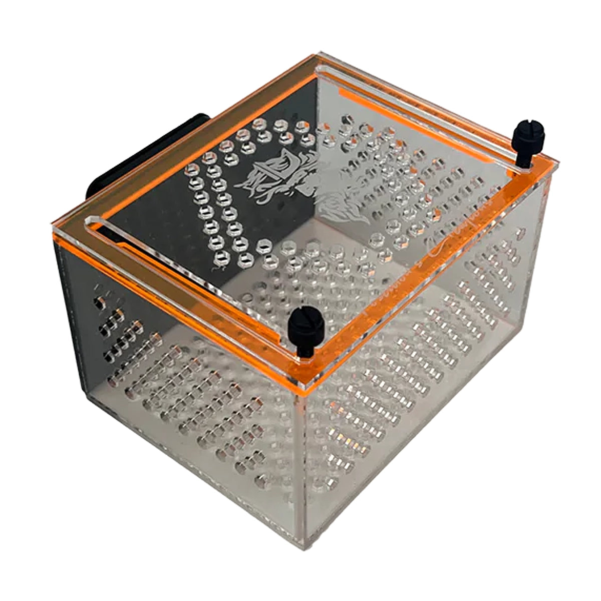 Medium Magnetic Mushroom/Anemone Box