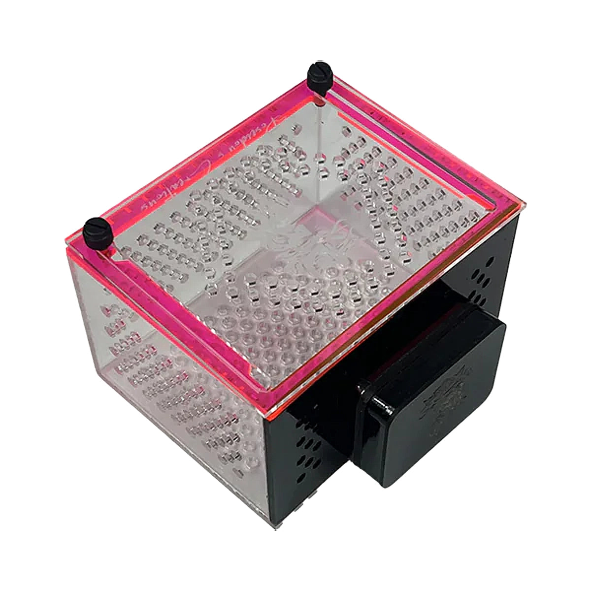 Medium Magnetic Mushroom/Anemone Box