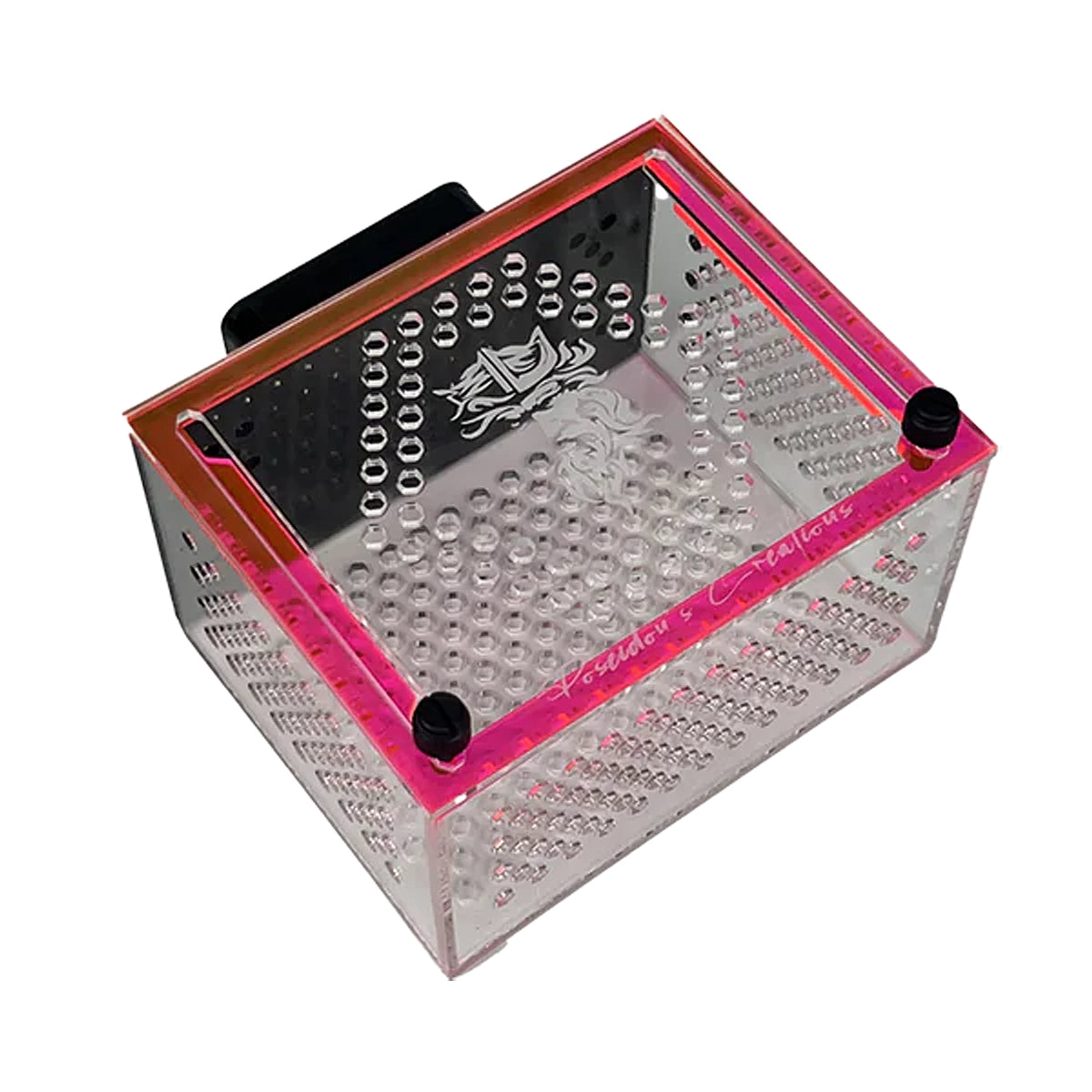 Medium Magnetic Mushroom/Anemone Box