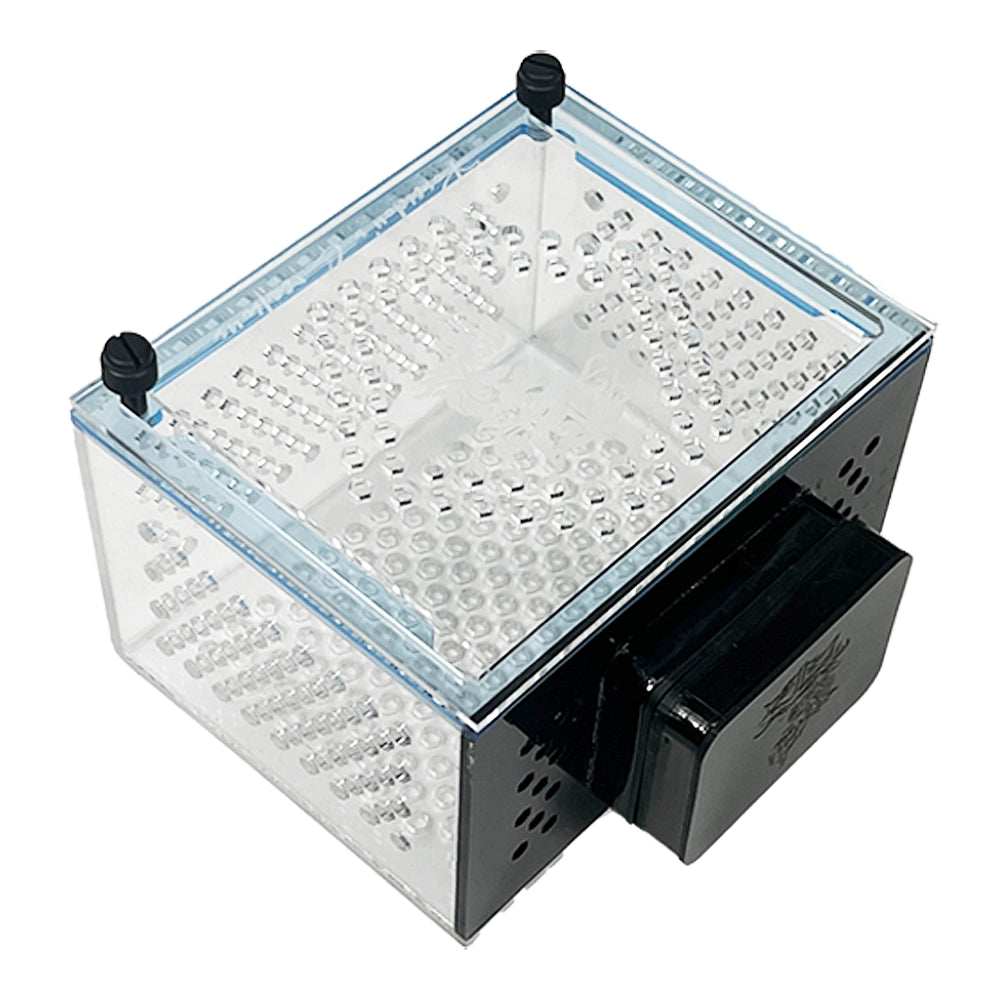 Medium Magnetic Mushroom/Anemone Box