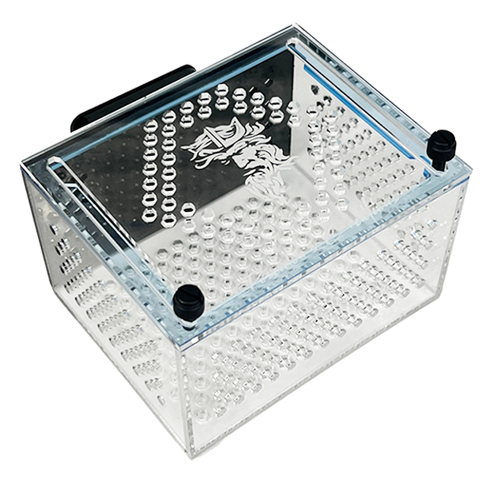 Medium Magnetic Mushroom/Anemone Box