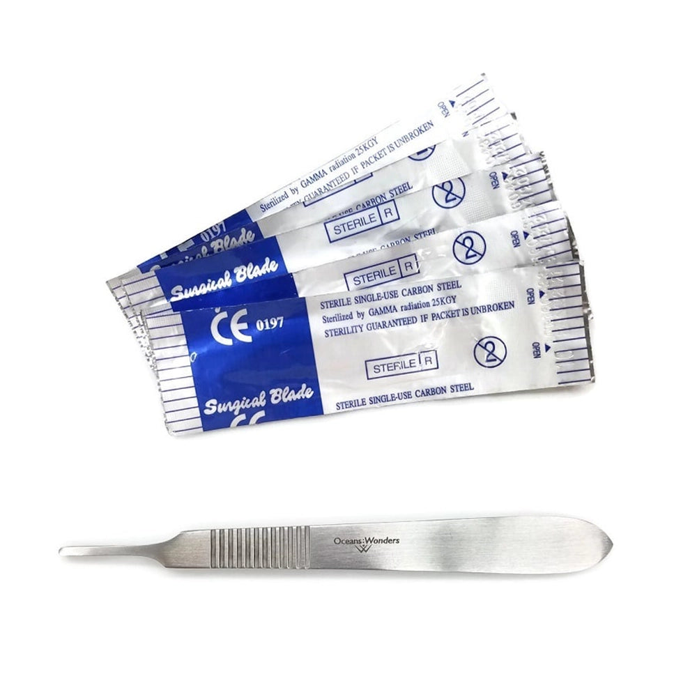 6" Stainless Steel Coral Scalpel w/ 10 Blades