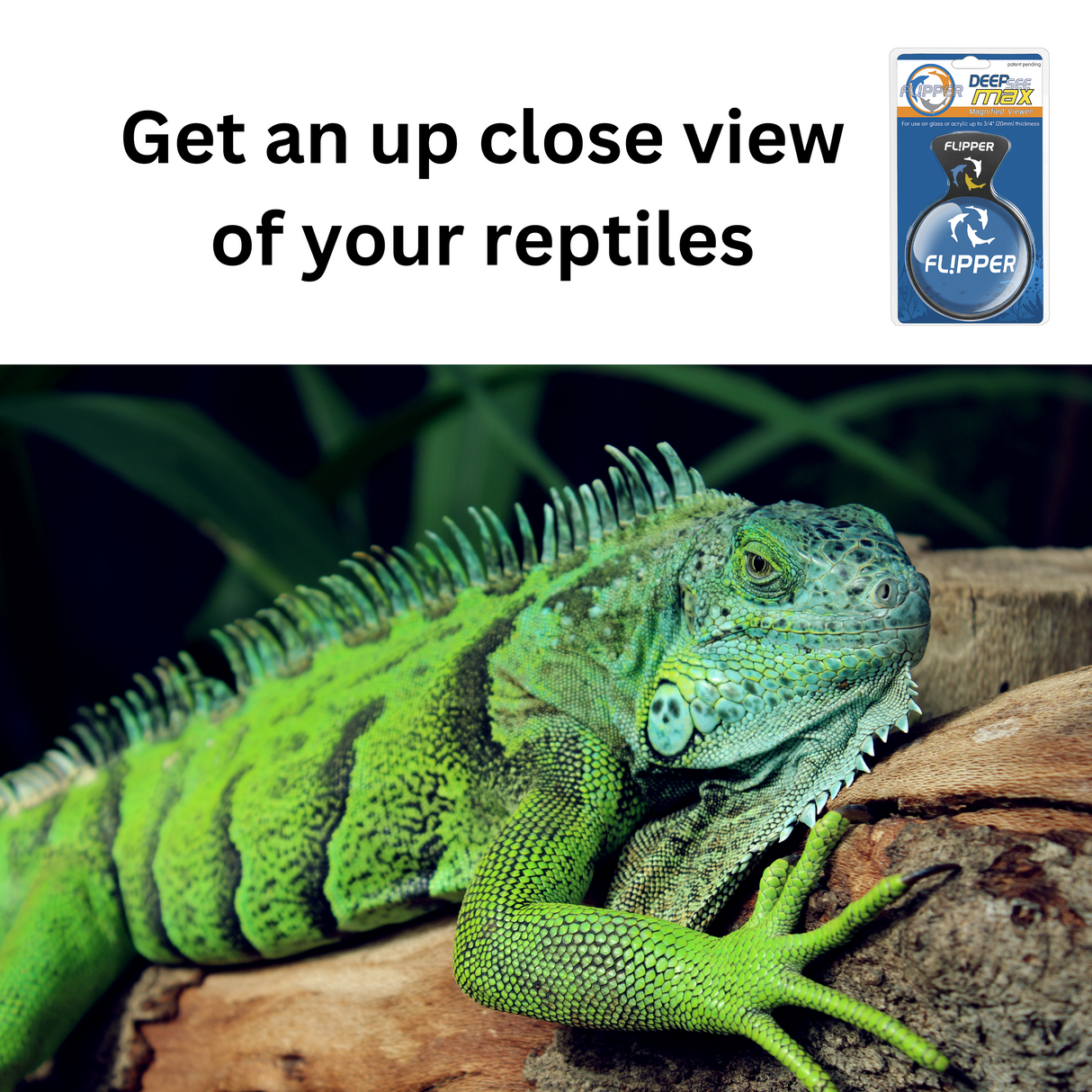 DeepSee Viewer Black Nano 3"