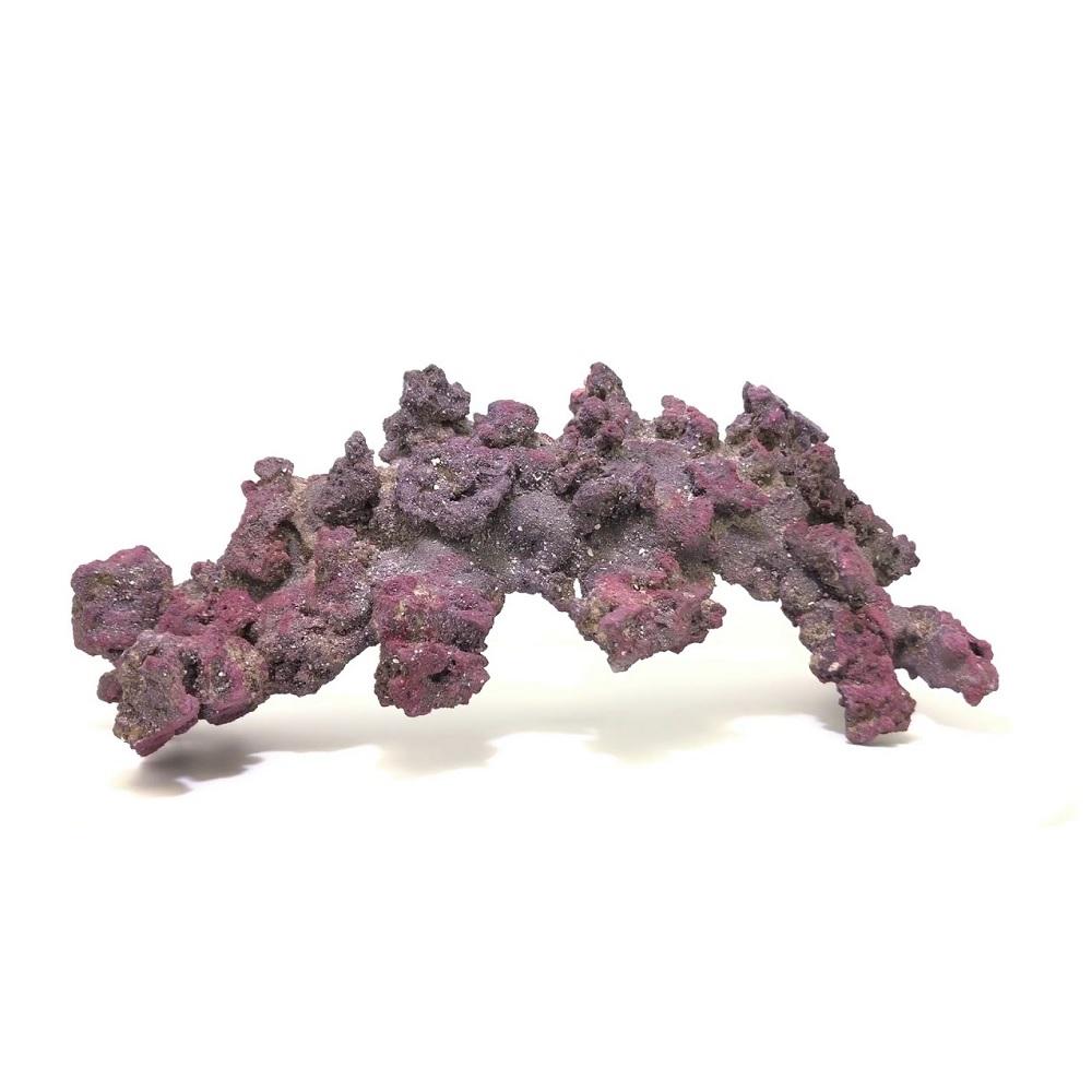 LifeRock 18" Large Arch Dry Live Rock