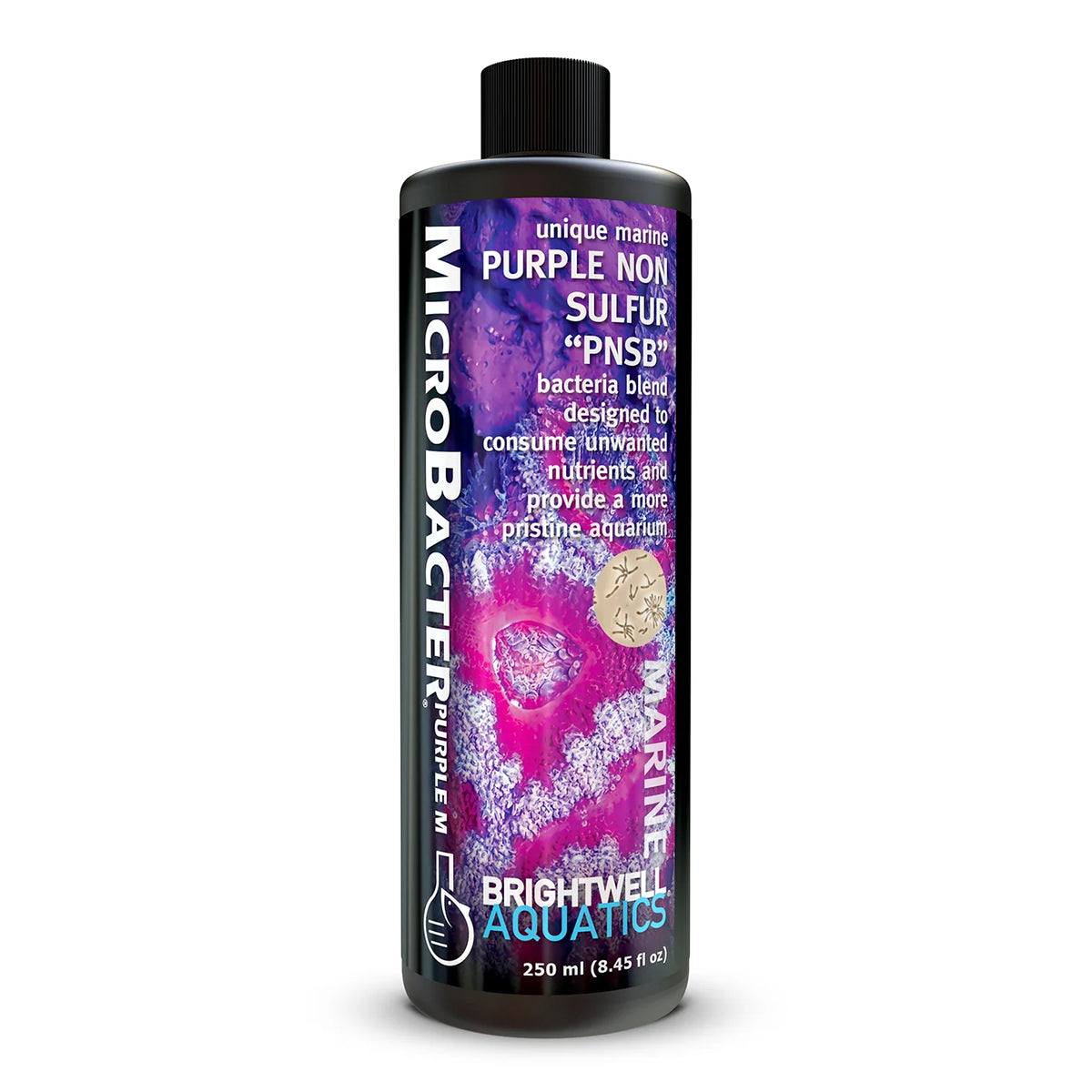 MicroBacter Purple M
