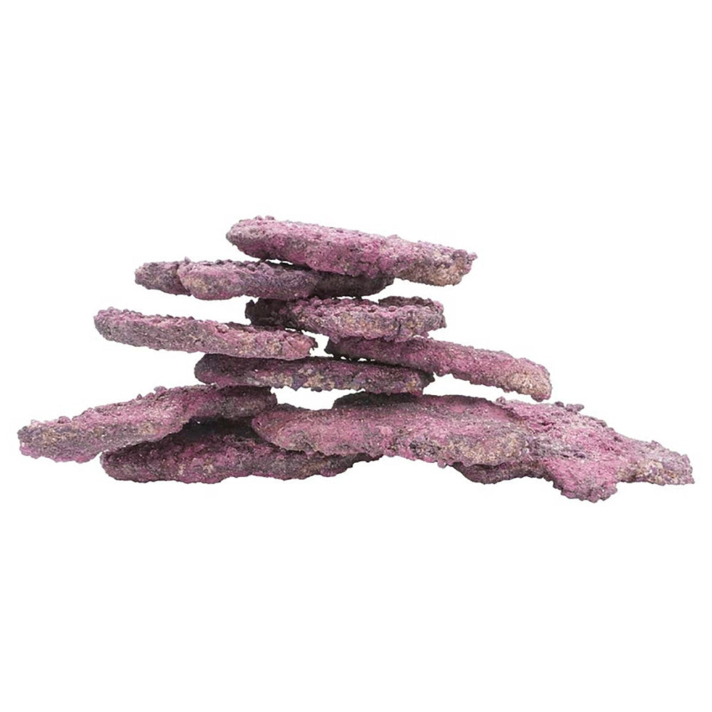 LifeRock Ledges Shelf Dry Live Rock - 10 Pack