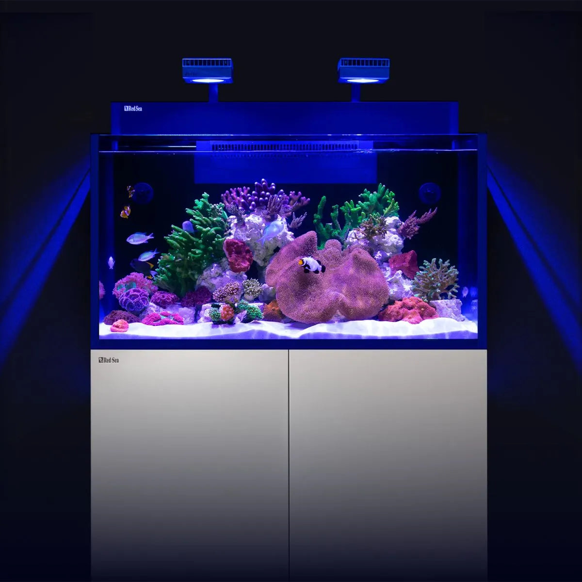 MAX NANO G2 XXL Aquarium (53 Gal)