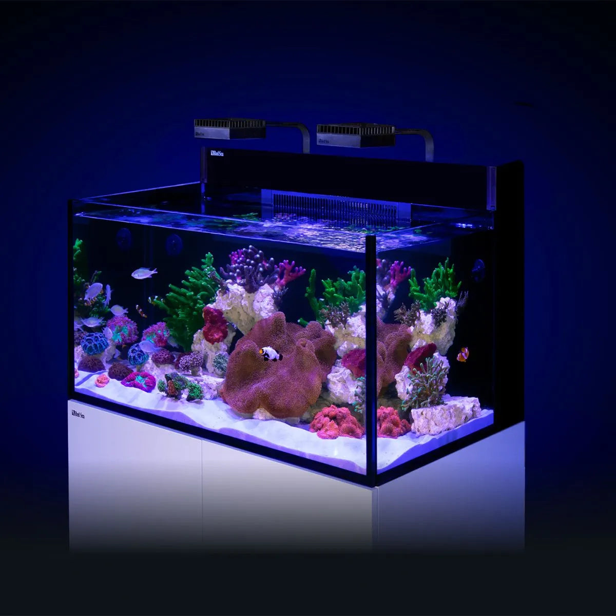 MAX NANO G2 XXL Aquarium (53 Gal)