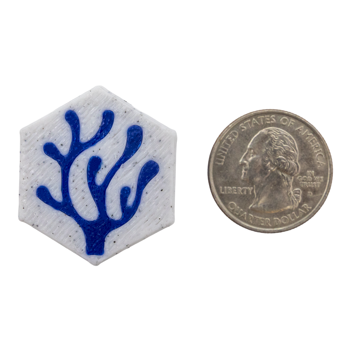 Scrub Mini - Magnetic Aquarium Glass Algae Scrubber