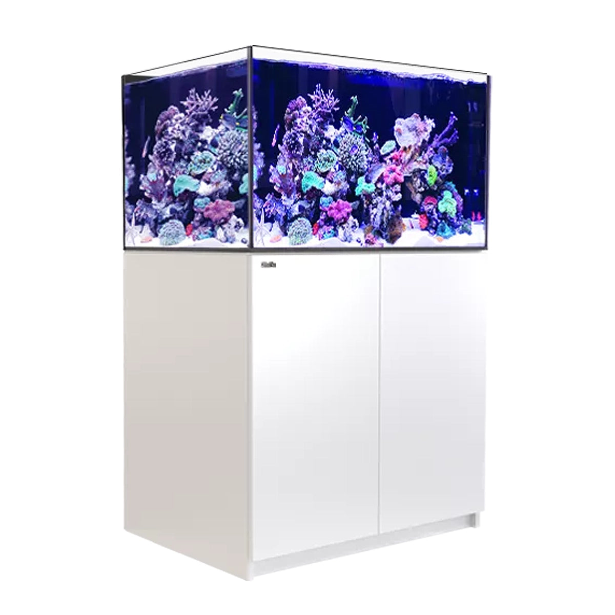 Reefer XL 300 G2+ System (65 Gal)