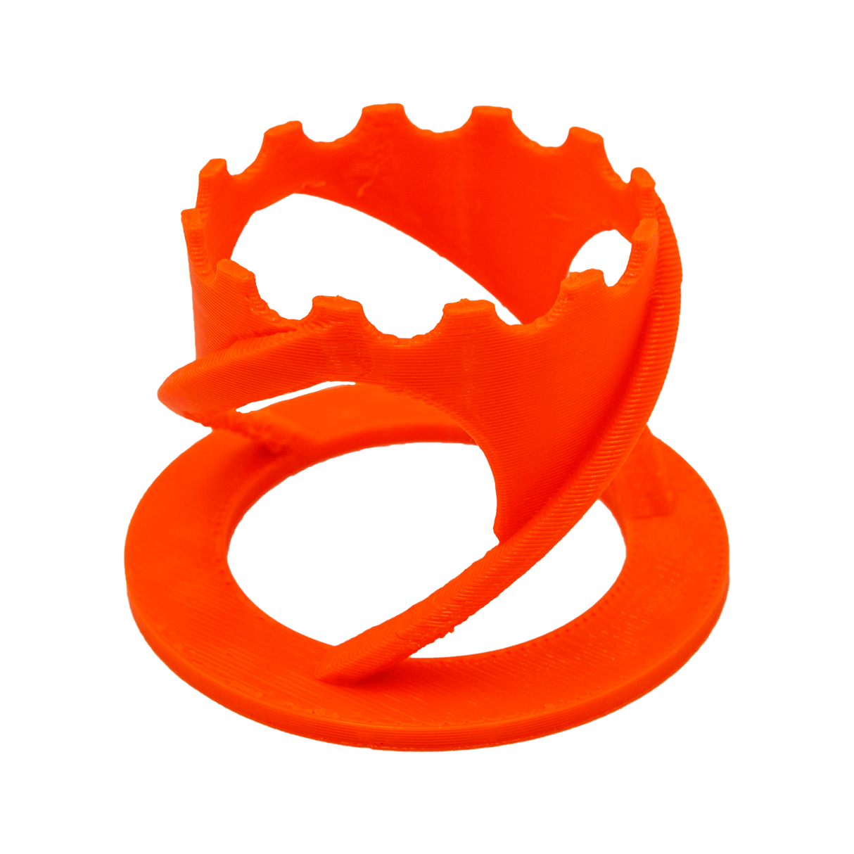 Scoly Stands for Scolymia Corals