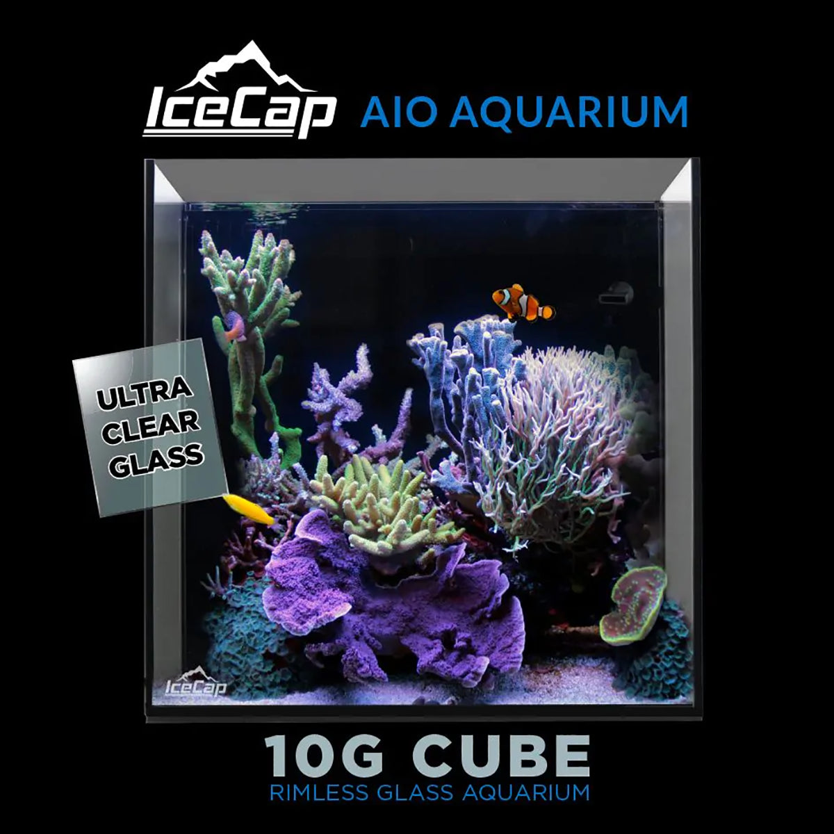 10 Gallon Cube AIO Rimless Glass Aquarium
