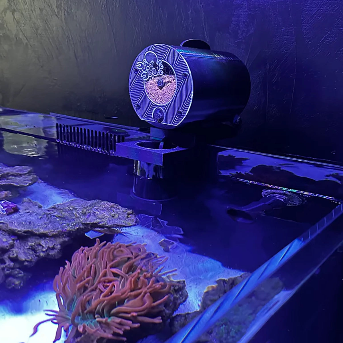 The Plank Automatic Feeder v3.6