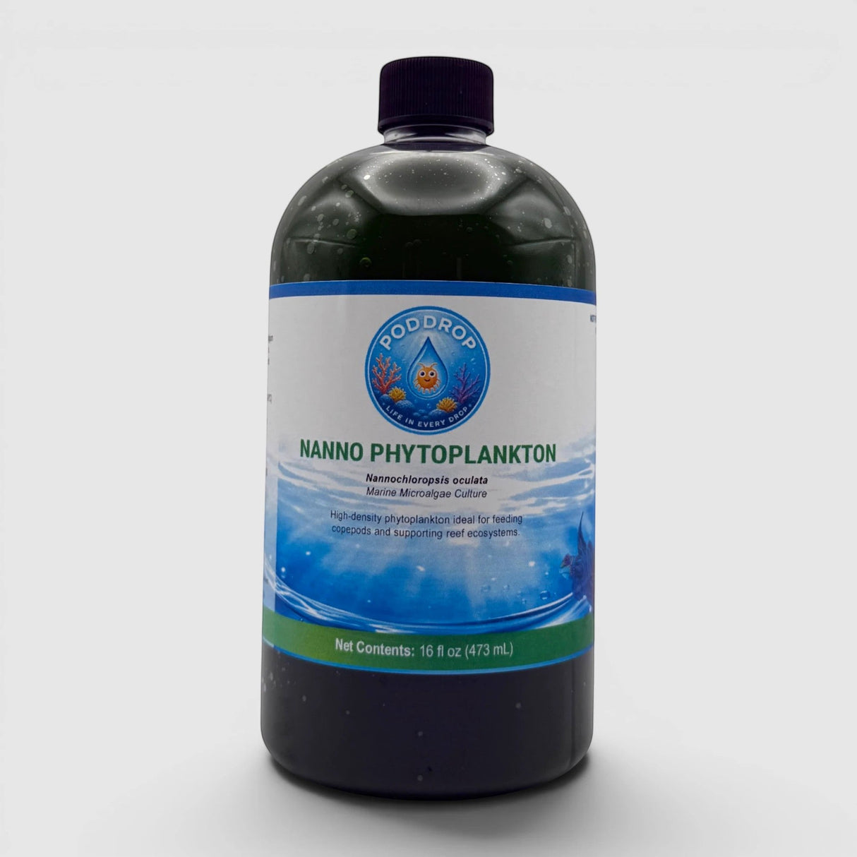 Nannochloropsis oculata Phytoplankton Culture