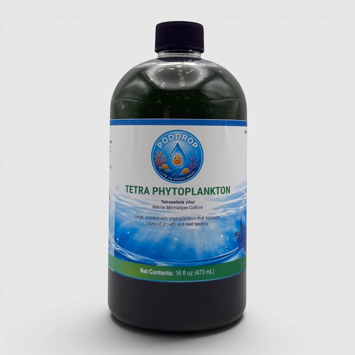 Tetraselmis chui Phytoplankton Culture