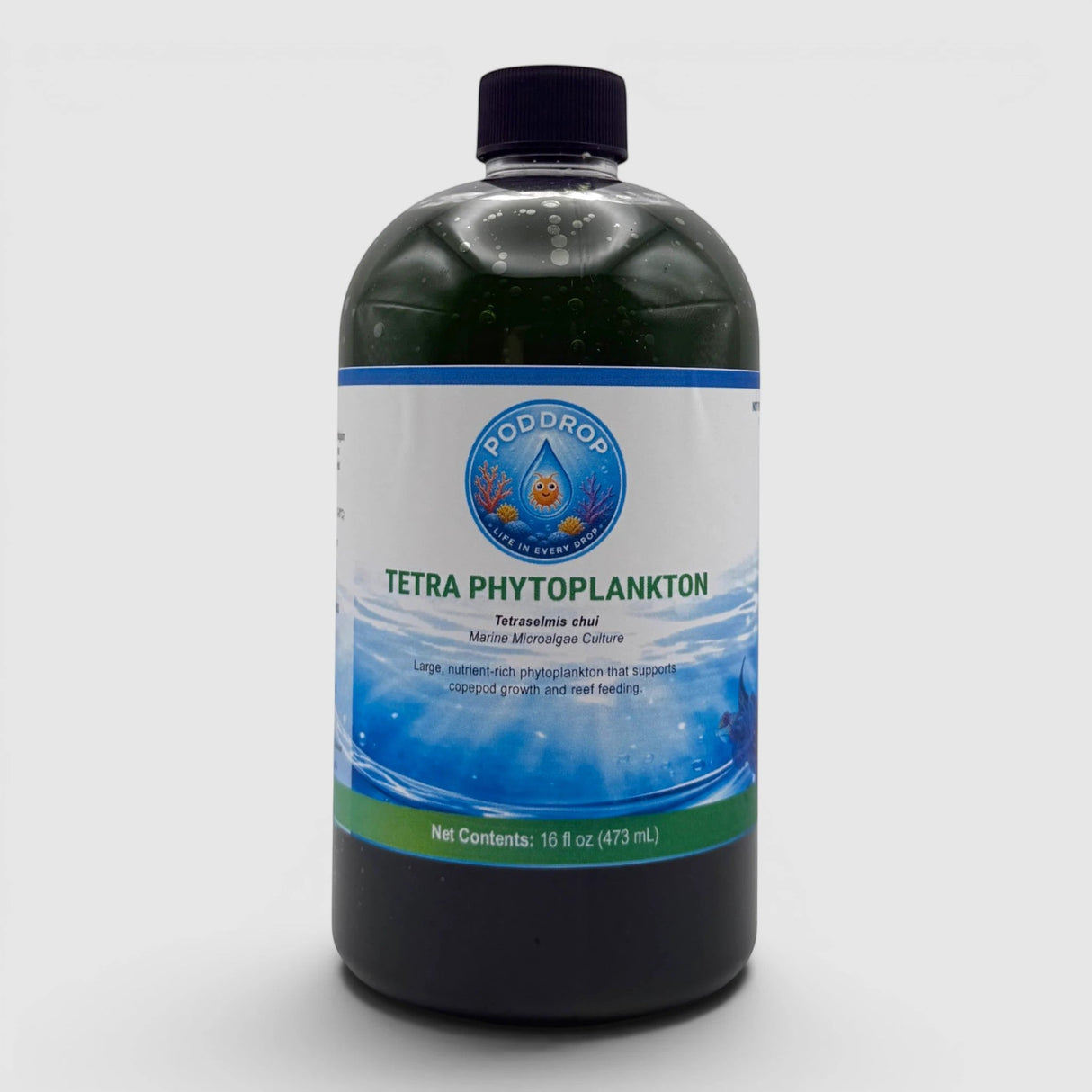 Tetraselmis chui Phytoplankton Culture