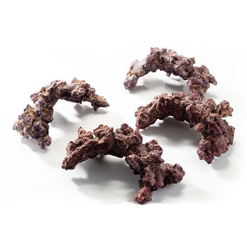 LifeRock 12" Arches Dry Live Rock