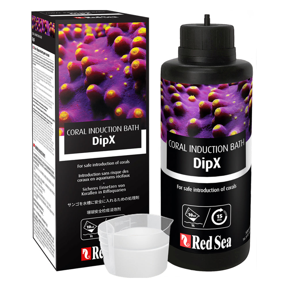 DipX Coral Bath