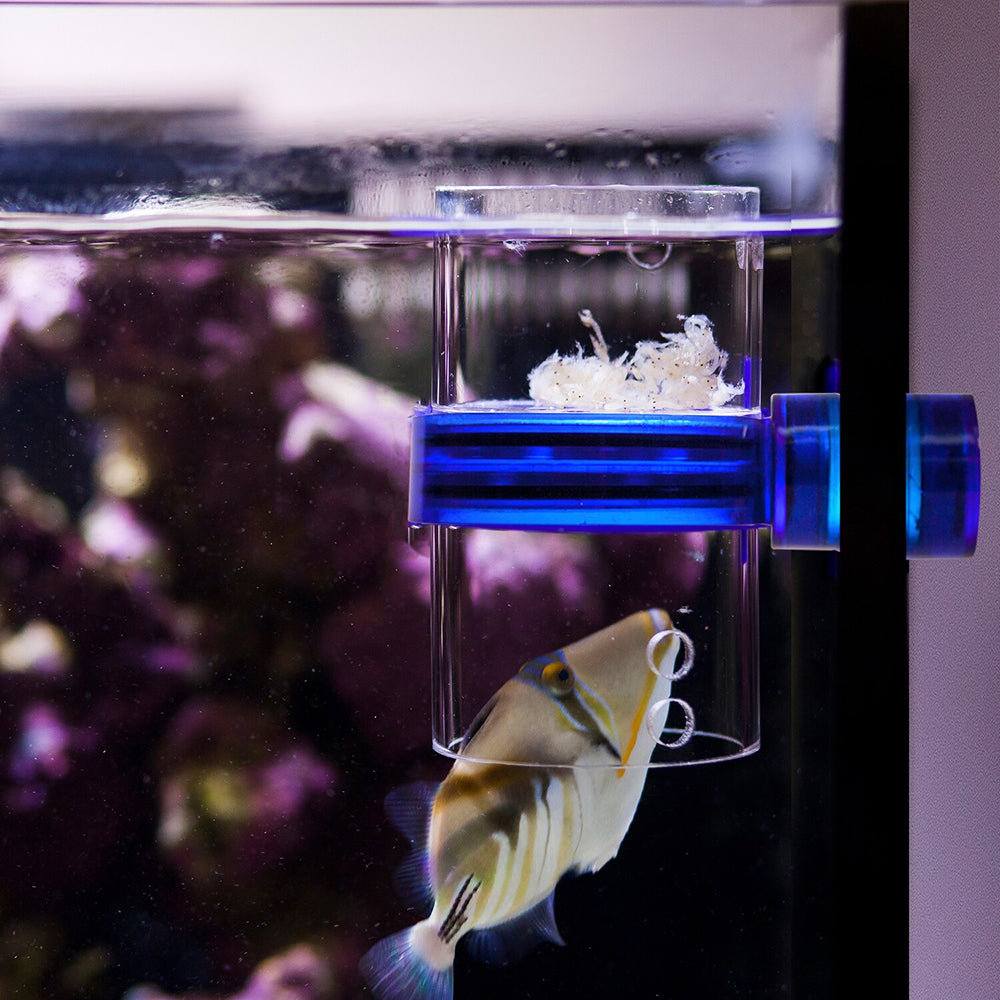 Gourmet Defroster Pro Magnetic Frozen Fish Food Feeder