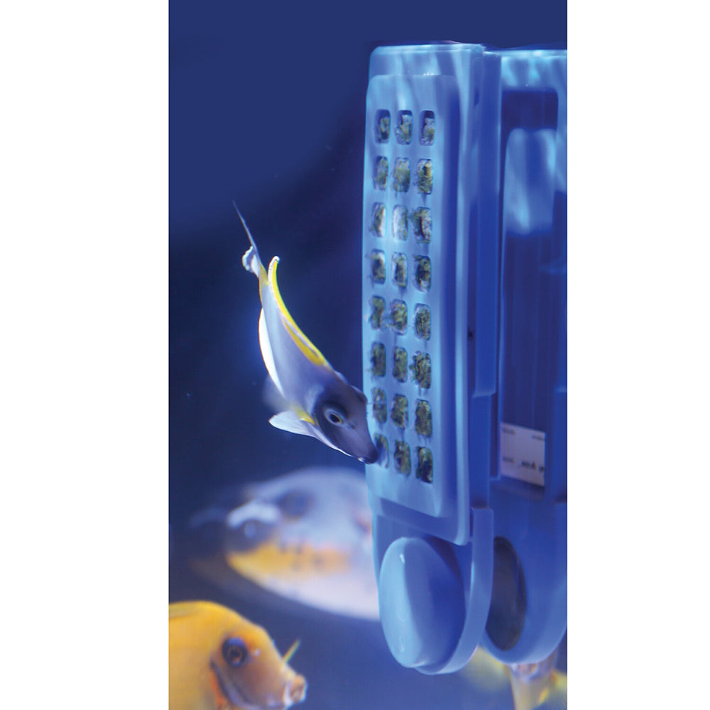 Gourmet Grazer Pro Magnetic Seaweed Fish Food Feeder