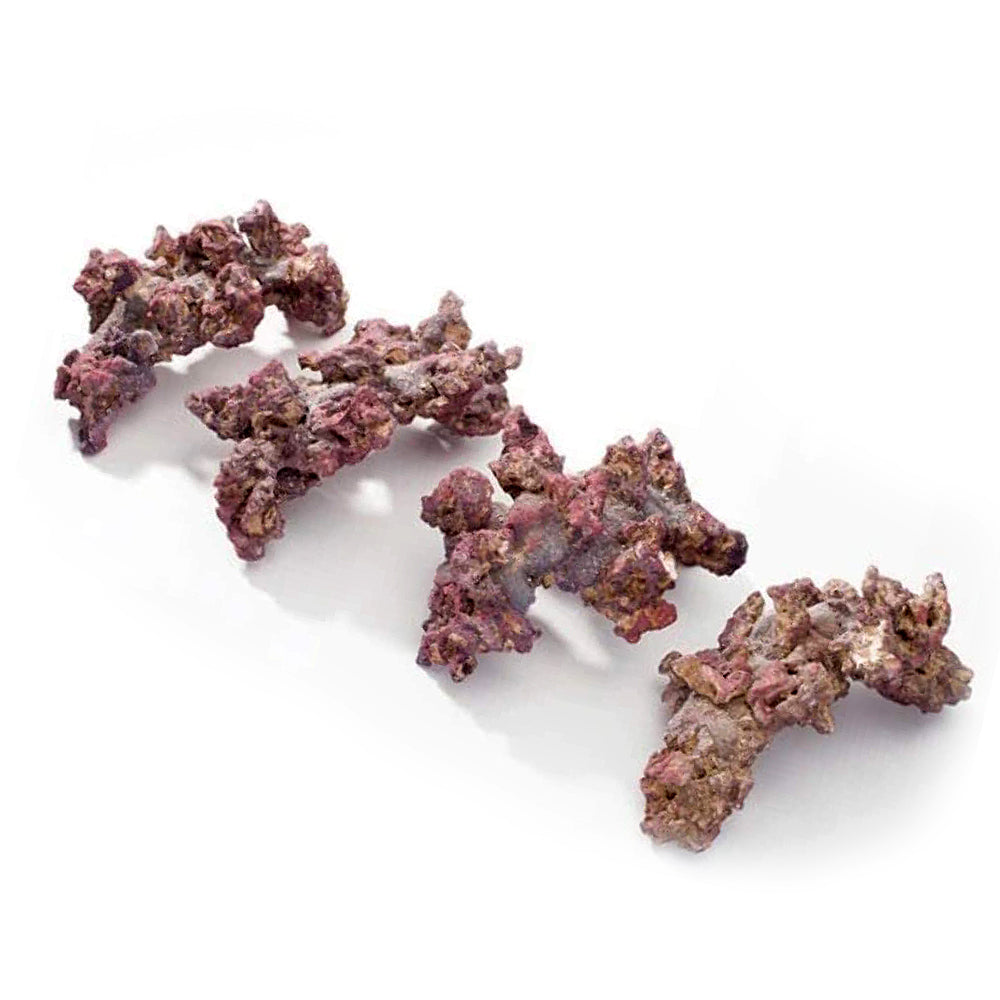 LifeRock 8" Nano Arches Dry Live Rock