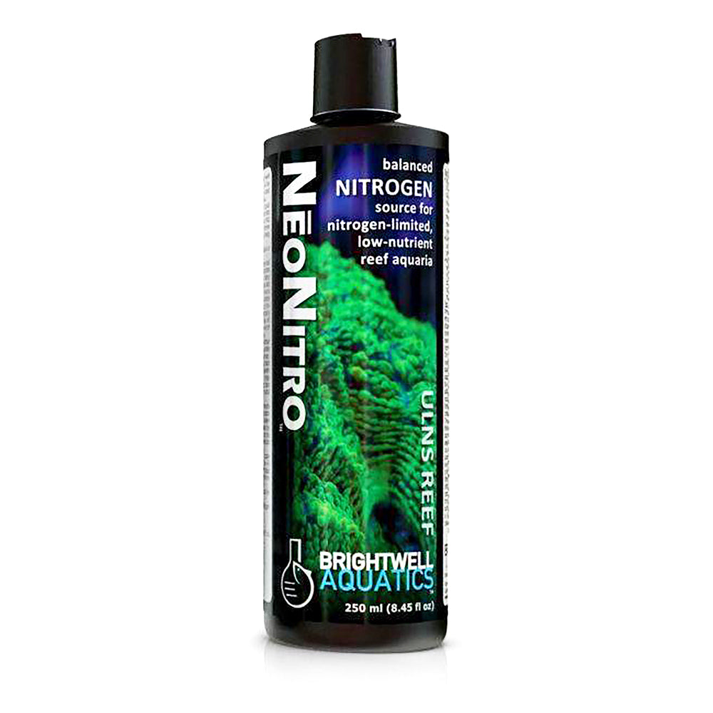 Beautiful view of Reef Aquarium Supplement With Nitrogen-Fixing Foraminifera