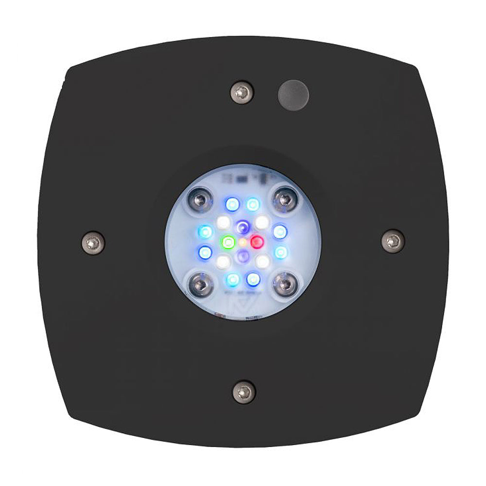 Prime 16 HD LED Reef Light - Black Body