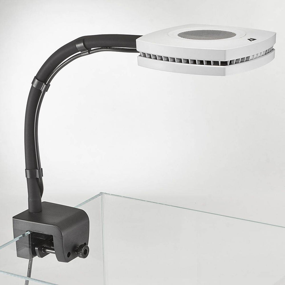 Prime Flex Arm - 12 Inch