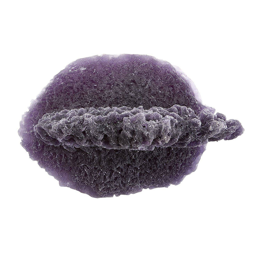 Purple Large Shelf Magnetic Frag Rack
