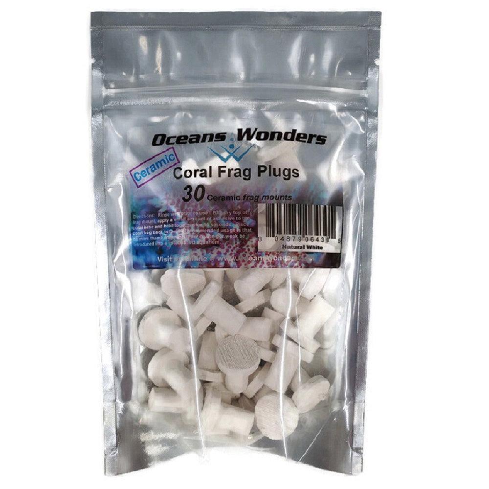 Natural White Small Ceramic Coral Frag Plugs