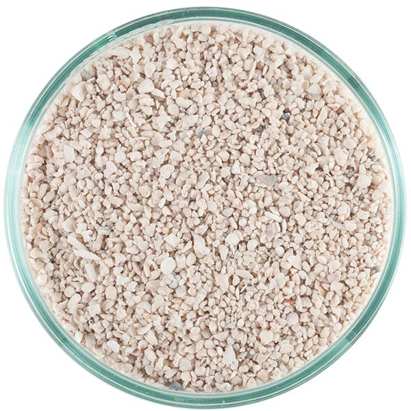 Special Grade Arag-Alive! Live Reef Sand - 20 Lb