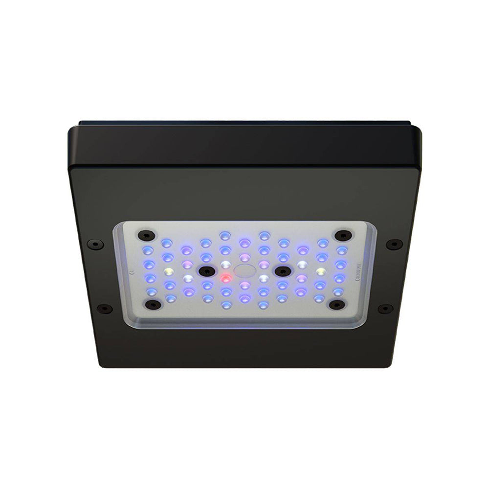 Radion XR15 G6 Blue LED Light – Reef Goods