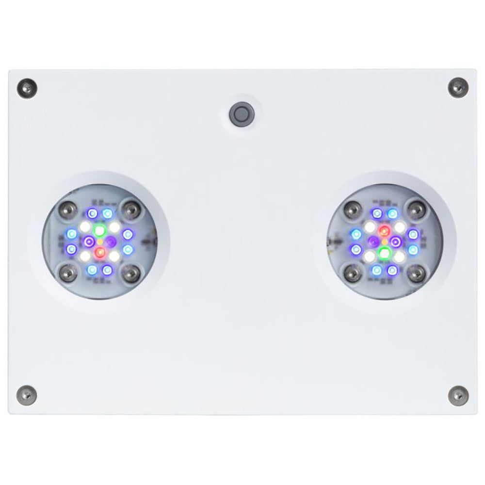 Hydra 32 HD LED Reef Light - White Body