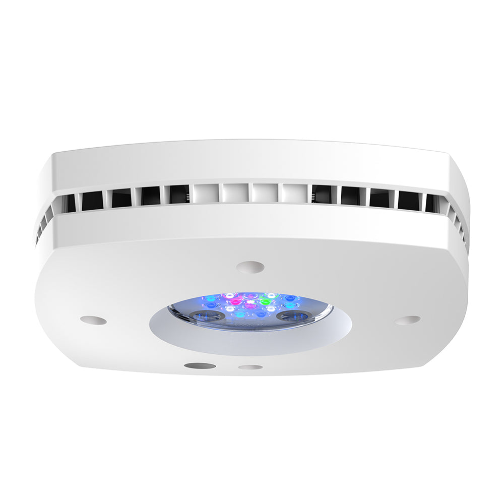Prime 16 HD LED Reef Light - White Body
