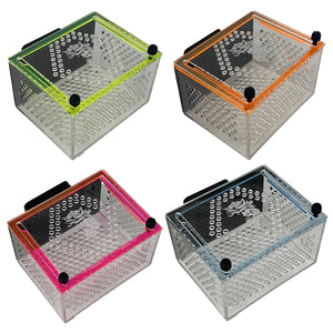 Mushroom/Anemone Boxes