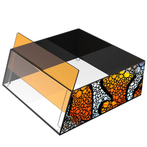 Coral Viewers & Lenses