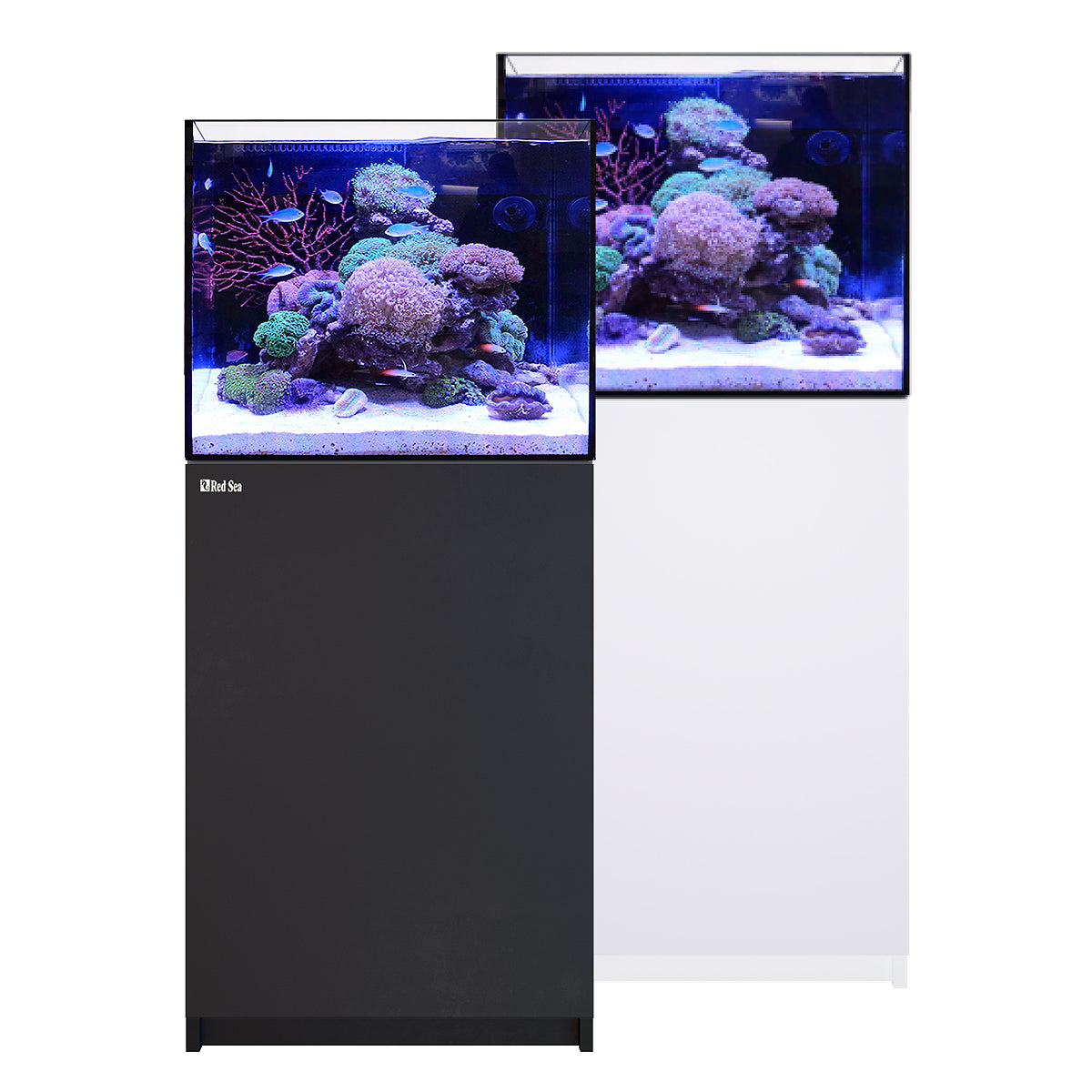 Reefer 170 G3 Aquarium System - 43.6 Gallons