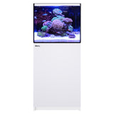 Reefer 170 G3 Aquarium System - 43.6 Gallons