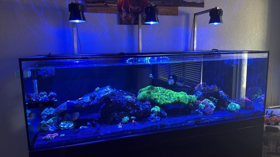 Kessil A360X/XE Light Shade