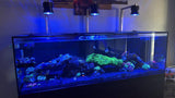 Kessil A360X/XE Light Shade