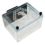 Medium Magnetic Mushroom/Anemone Box