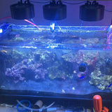 Light Shade for Kessil A80, H80 & Tuna Blue/Sun LEDs