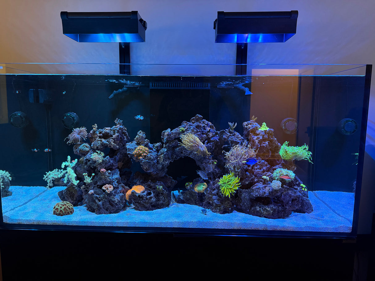 AquaIllumination Hydra Edge 44HD Light Shade