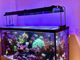 ReefBreeders Photon V2 Pro Light Shade Set